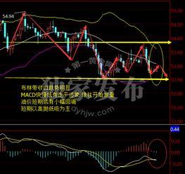 最新爆料油价走势分析,最新爆料揭示未来走势趋势  第1张